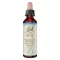 BACHBLÜTEN Bukove kapi, 20 ml