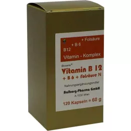 VITAMIN B12+B6+kompleks folne kiseline N kapsule, 120 ST