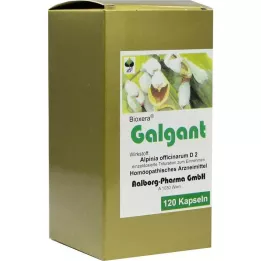 GALGANT Kapsule, 120 ST
