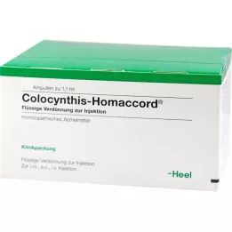 COLOCYNTHIS HOMACCORD Ampoule, 100 ST