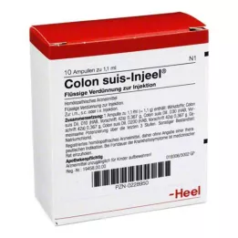 COLON SUIS Injeel ampula, 10 sati