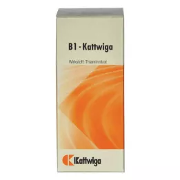 B1 KATTWIGA tablete, 100 ST