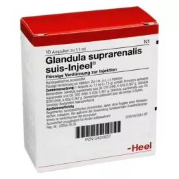 GLANDULA SUPRARENALIS Suis Injeel ampula, 10 sati