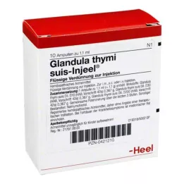 GLANDULA THYMI Suis Injeel ampula, 10 sati