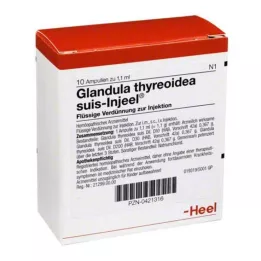 GLANDULA THYREOIDEA Suis Injeel ampula, 10 sati