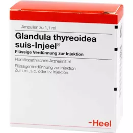 GLANDULA THYREOIDEA Suis Injeel Ampoules, 100 ST