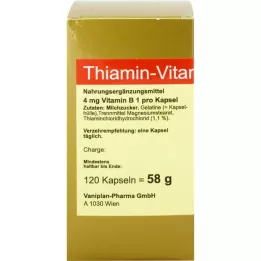 THIAMIN Kapsule Vitamin B1, 120 ST