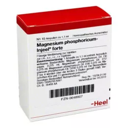 MAGNESIUM PHOSPHORICUM INJEEL Forte ampuli, 10 sati