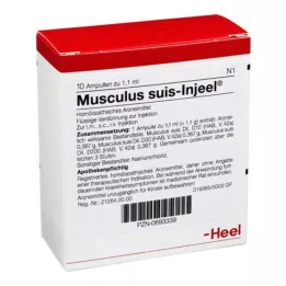 MUSCULUS SUIS Injeel ampula, 10 sati