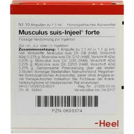 MUSCULUS SUIS INGEEL FORTE AMPOULE, 10 sati