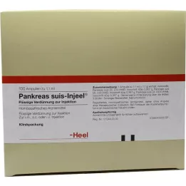 PANKREAS SUIS Injeel Ampoule, 100 ST