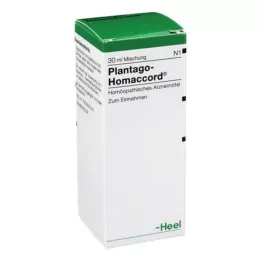 PLANTAGO HOMACCORD Kapi, 30 ml