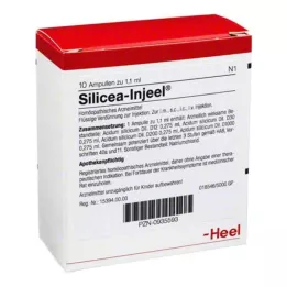 SILICEA INJEEL AMPOULE, 10 sati