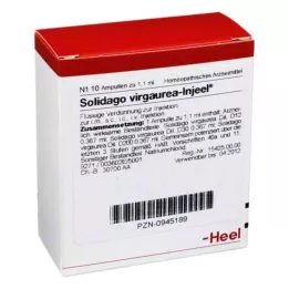 SOLIDAGO VIRGAUREA INJEEL AMPOULE, 10 sati