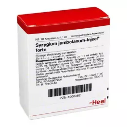 SYZYGIUM JAMBOLANUM INJEEL Forte ampuli, 10 sati
