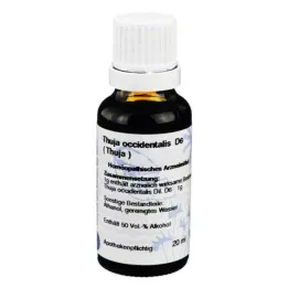 THUJA D 6 Razrjeđivanje, 20 ml