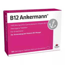 B12 ANKERMANN Višak tableta, 100 ST