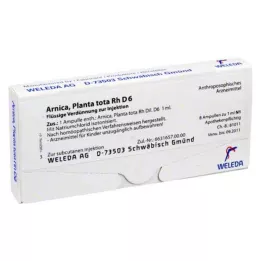 ARNICA PLANTA tota rh d 6 ampula, 8x1 ml