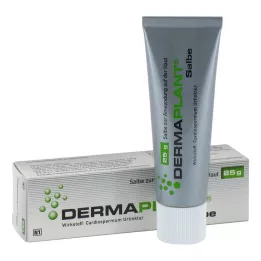 DERMAPLANT Mast, 25 g