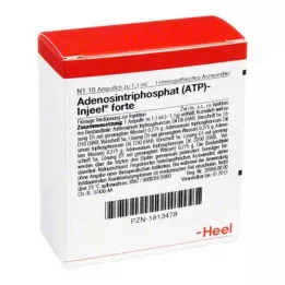 ATP INGEEL FORTE AMPOULE, 10 sati
