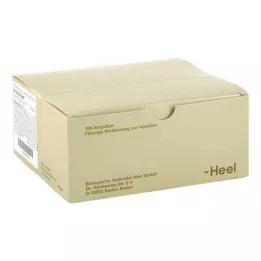 SEROTONIN Injeel Ampoule, 100 ST