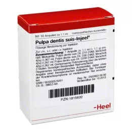PULPA DENTIS SUIS Injeel ampula, 10 sati