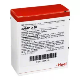 CAMP D 30 ampula, 10 sati