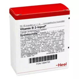 VITAMIN B2 INJEEL ampula, 10 sati