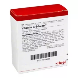 VITAMIN B6 INJEEL ampule, 10 kom