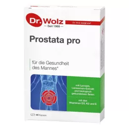 PROSTATA PRO Dr.Wolz kapsule, 2X20 kom