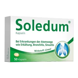 SOLEDUM 100 mg gastrorezistentne kapsule, 50 kom
