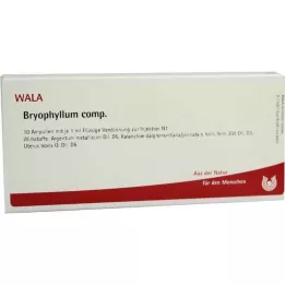 BRYOPHYLLUM COMP.AMPOULES, 10x1 ml