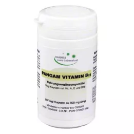 PANGAM Vitamin B15 kapsule, 60 kom