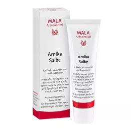 ARNIKA MAST, 30 g