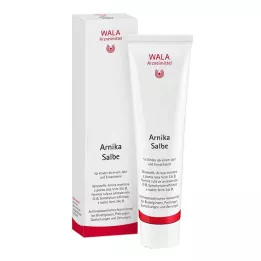 ARNIKA MAST, 100 g