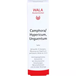 CAMPHORA/HYPERICUM Unguentizam, 30 g