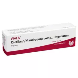 Dostave sluba iz Njemake -Reumatizam &amp; Osteoartritis