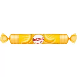 INTACT Roller Guardian, 1 ST