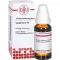 CAMPHORA D10 razrjeđenje, 20 ml