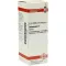 DULCAMARA Matična tinktura, 20 ml