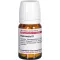 HAMAMELIS D 1 tablete, 80 ST