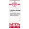 PHOSPHORUS AMORPHUS D 8 tablete, 80 ST