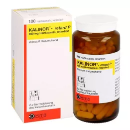 KALINOR retard P 600 mg kapsule tvrde, 100 kom