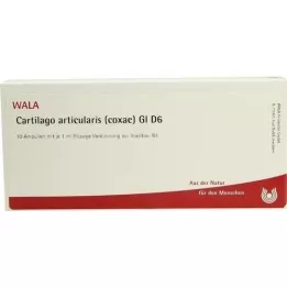 CARTILAGO Articularis coxae GL d 6 ampula, 10x1 ml