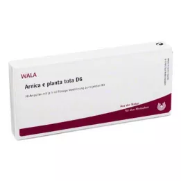 ARNICA E Planta tota D 6 ampula, 10X1 ml