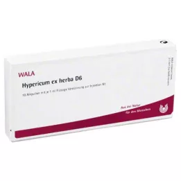 HYPERICUM EX Herba D 6 ampula, 10X1 ml