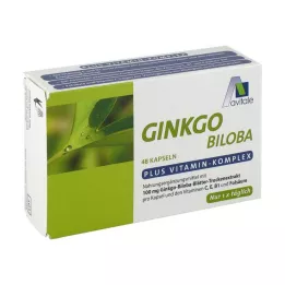 GINKGO 100 mg kapsule+B1+C+E, 48 kom