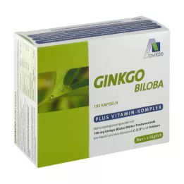 GINKGO 100 mg kapsule+B1+C+E, 192 kom