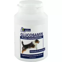 GLUCOSAMIN+CHONDROITIN kapsule za pse, 120 sati