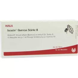 ISCUCIN quercus Snaga B ampule, 10X1 ml